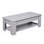 Alrun Coffee Table with Lift-up Storage-1693479833