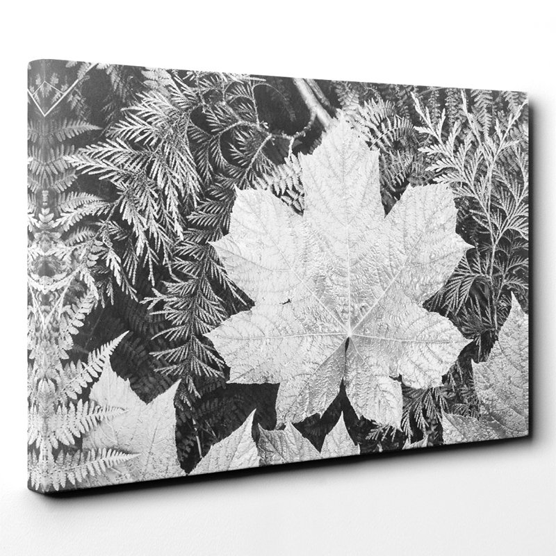 Ansel Adams - Wrapped Canvas Print, 40cm H x 60cm W