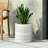 MGO PLANTER