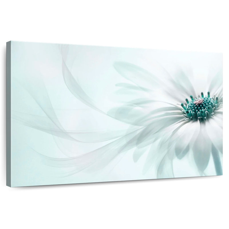 Harnek Translucent Cape Daisy, 8" H x 12" W