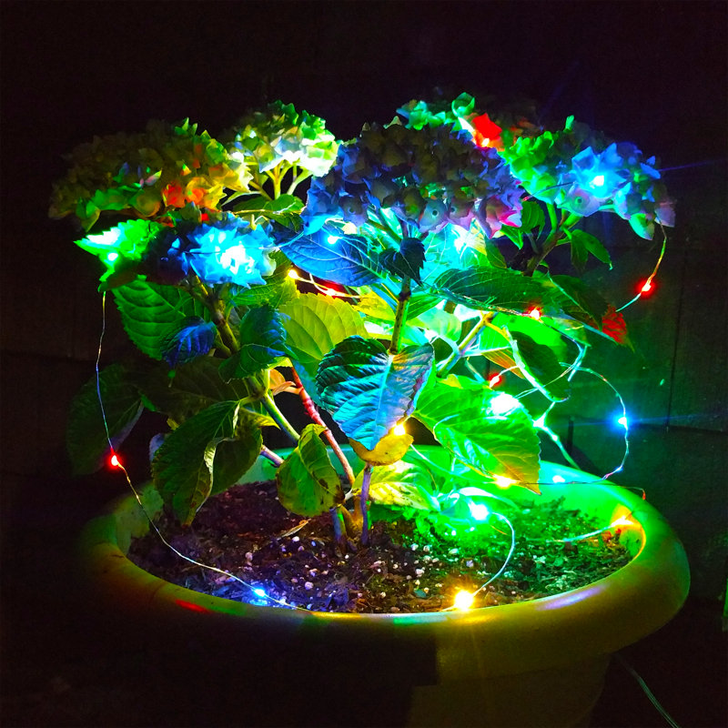 Northledge Outdoor 50 - Bulb 16'' Solar Powered Fairy String Light, Multicolor