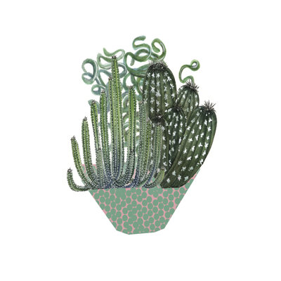 " Cactus Arrangement II "