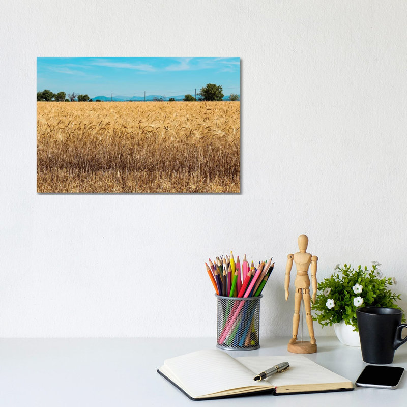 France Provence Valensole Composition II 1 Piece Wrapped Canvas Wall Art, 20.32 cm H x 30.48 cm W