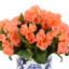 Begonia Arrangement In Ornamental Ceramic Vase-658148944