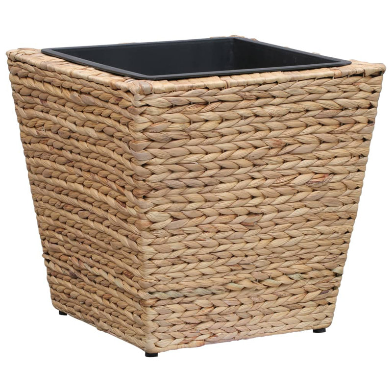 Ivanhoe Planter, Brown