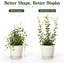 Treillis de ventilateur en bois de 2 pi, 3 pièces - Support pour plantes grimpantes et plantes en pot
