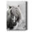 " Shetland Summer "-1917767584