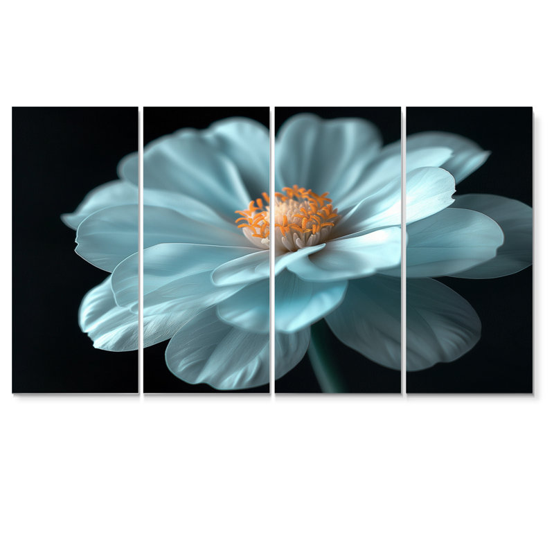 «White Black Natures Marigold Photo», ensemble d'art mural sur toile souci, H 28 po x l 48 po