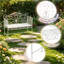 Outdoor Backyard Bench,Garden Bench,Porch Bench