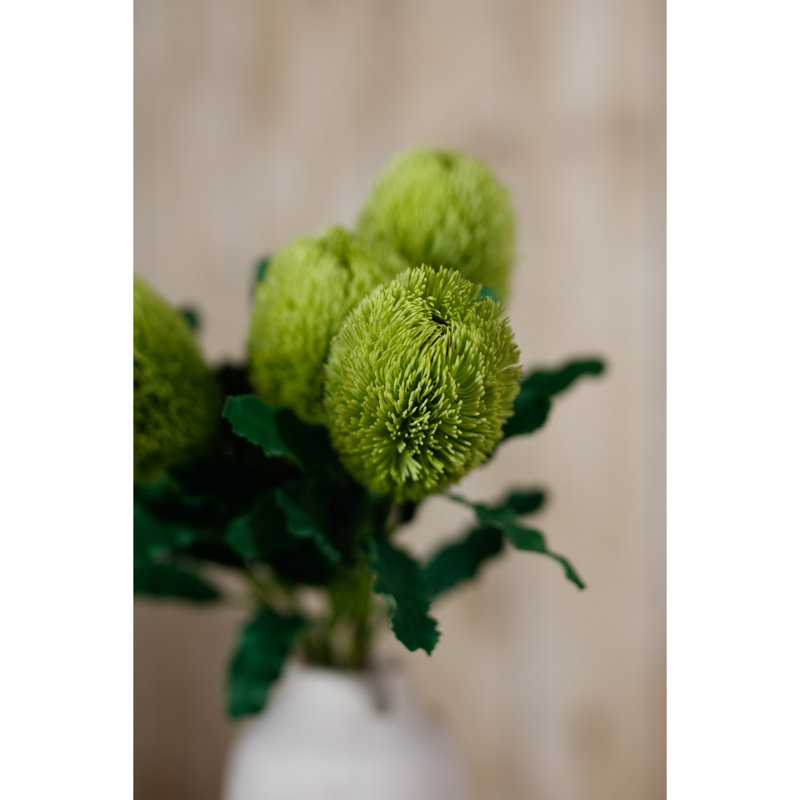 Arrangement, Green