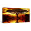 «Lonely Tree in African Sunset», impression-35062475-35062479