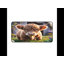 Polyester Desk Pad-810939642