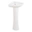 20" Point Roberts 27.13" Tall White Porcelain Corner Pedestal/Wall Bathroom Sink with Overflow