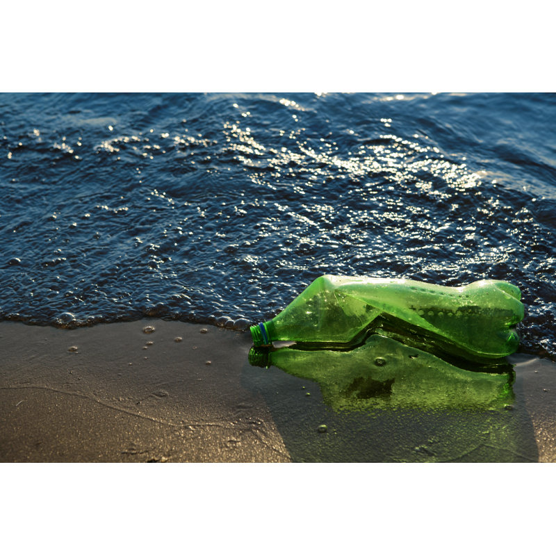 Déchets à la mer par Viorika, H 12 po x l 18 po