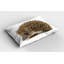 Ensemble de 2 taies décoratives pour petit hérisson Ambesonne 26 po x 20 po brun cacao