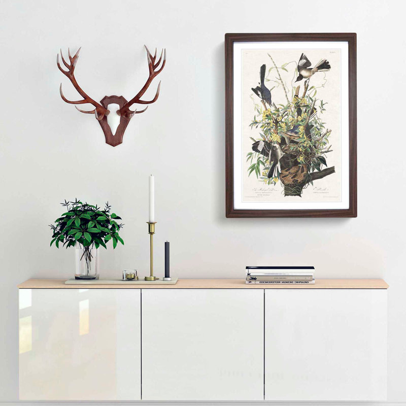 Mockingbirds & Rattlesnake by John James Audubon - Picture Frame Art Print, Walnut Framed, 65cm H x 48cm W x 2cm D