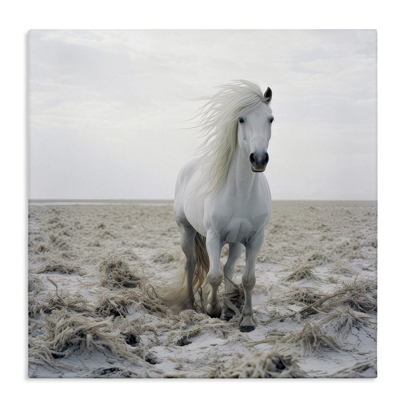 «Windswept Beach Horse», art mural sur toile par Ray Powers, H 17 po x l 17 po