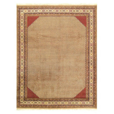 Oriental Indoor Rug