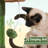 Dubrule 52.5'' Height Cactus Cat Tree