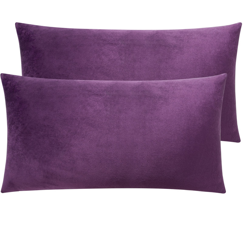 Zippered Pillowcases, Luxury Velvet Flannel Pillow Cases, Super Soft - NTBAY, 20"  x 36, Purple