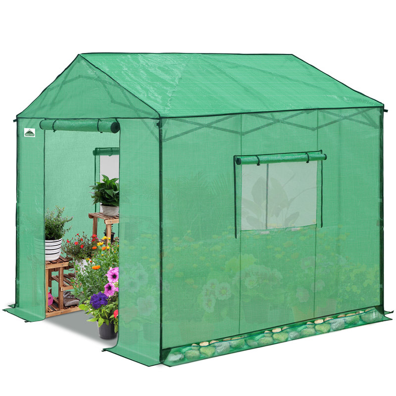 Serre 8x8, Vert