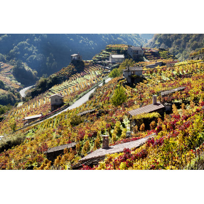Ribeira Sacra Vineyards - Wrapped Canvas Print
