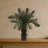 Cycas Tree Silk Plant UV Resistant Indoor Outdoor