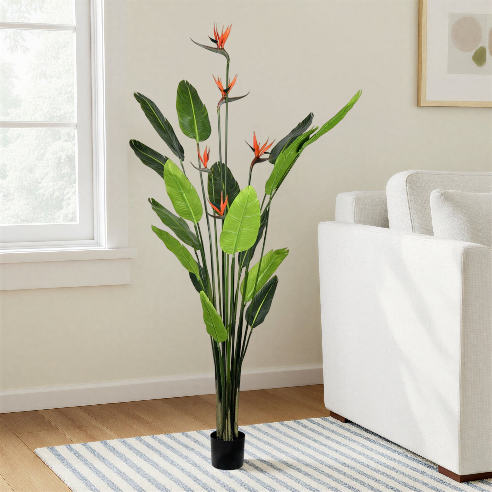 Bird of Paradise Tree in Pot, 72" H x 26" W x 26" D