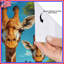 Ensemble de rideaux de douche Group Of Giraffes-748953999