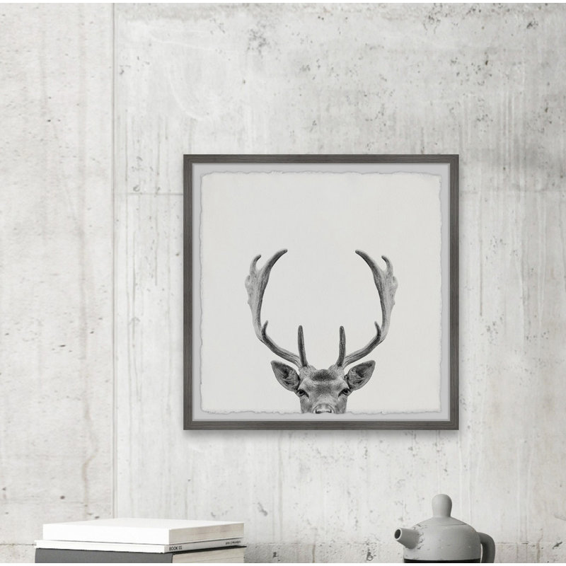 Giant Antlers by Maria Giovanni - Single Picture Frame Print, 61cm H x 61cm W x 3.81cm D