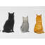 «Six Cats Aligned Back View - Brown Feline», reproduction encadrée