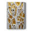 ANIMALS Series LXIV - Gallery Cavas