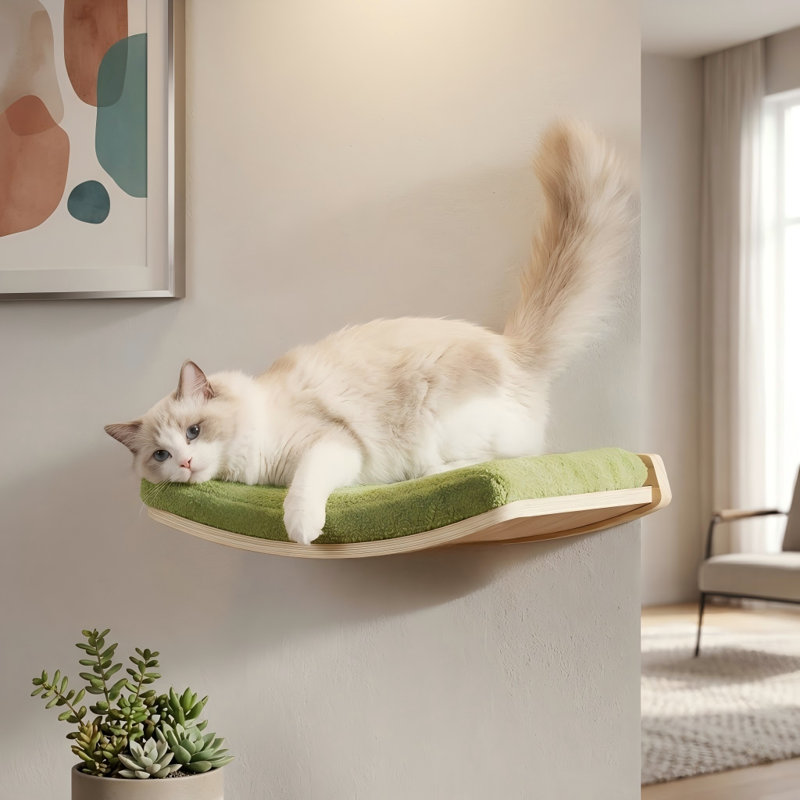 Tablettes et perchoirs courbés pour chat, lit mural flottant pour chat avec coussin confortable