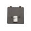 Whispering Pines 1 - Light Flush Mounted Sconce