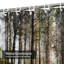 Rideau de douche Dark Forest-1584945517