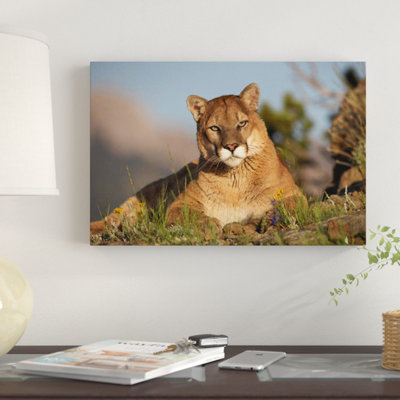 Mountain Mountain Portrait, North America II par Tim Fitzharris - reproduction d'art sur toile tendue