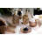 6PCS Bathroom Clear Glass Accessories Set,Brown