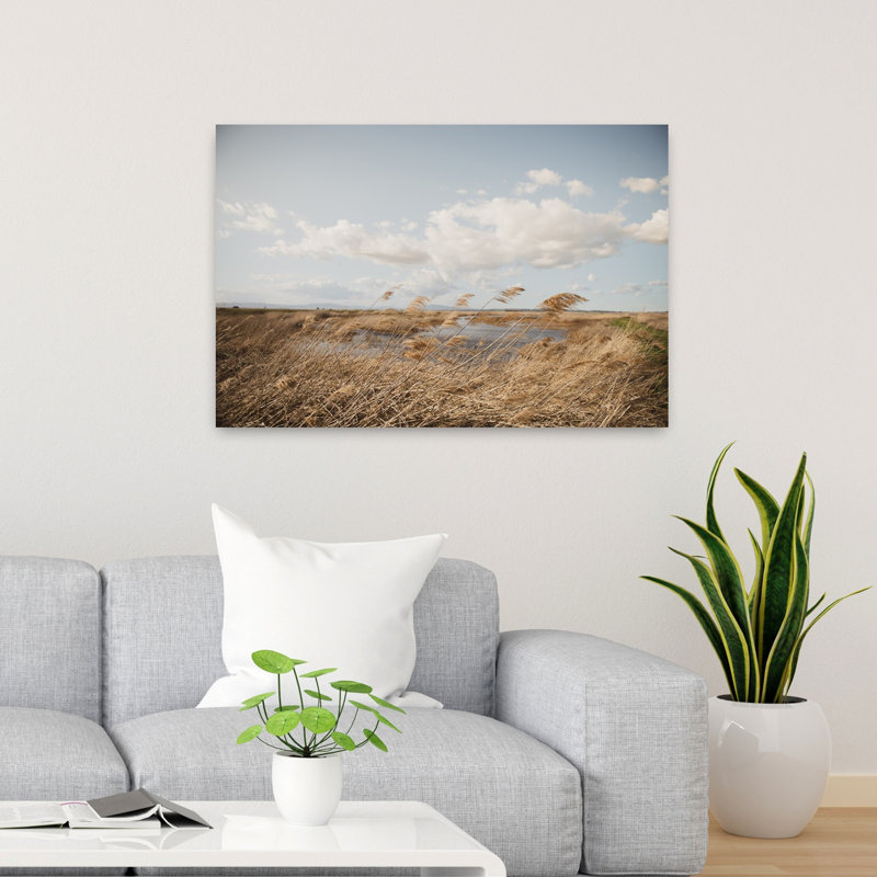 Golden Reeds Landscape Organic Peaceful Serene Landscape Nature, art mural, H 36 po x l 24 po