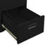 Edward-Ryan 2 Drawer Filing Cabinet-939556391
