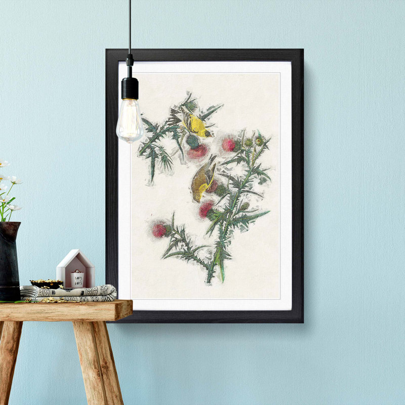 American Goldfinch Birds by John Audubon - Single Picture Frame Painting, Black Framed, 63cm H x 45cm W x 2cm D