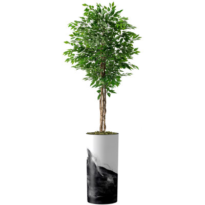 Faux Ficus Tree in Plastic Planter