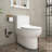 TCYO 1.6 Gallons GPF Elongated One-Piece Toilet (Seat Included)