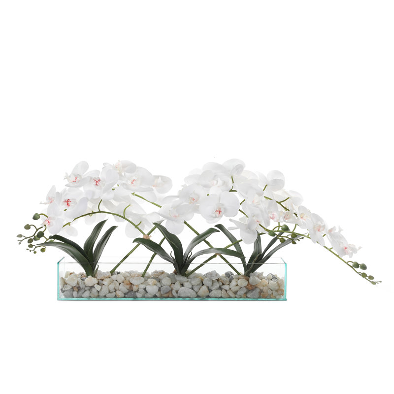 Elegant White Orchid Centerpiece in Glass Vase with Rocks