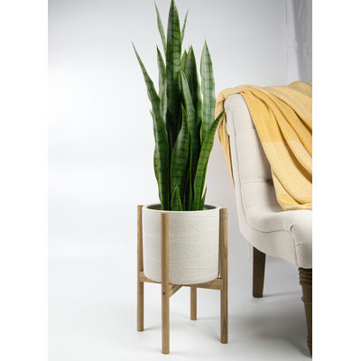 Jayzeon Handmade Pot Planter