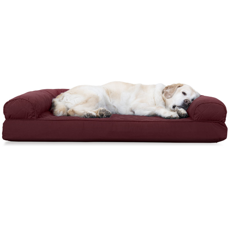 Driftwood Brown Large Orthopedic Foam Sofa Dog Bed