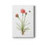 Wildflower Botanical III - peinture sur toile tendue-171238848