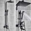 Strauch Mixer Shower with Adjustable Shower Head