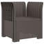 Outdoor Lounge Chair with Cushions-531484365-531484366