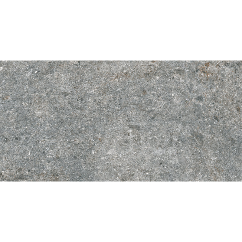 23.62" x 47.25" Porcelain 0 Wall & Floor Tile, Gray