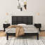 Antasia Headboard